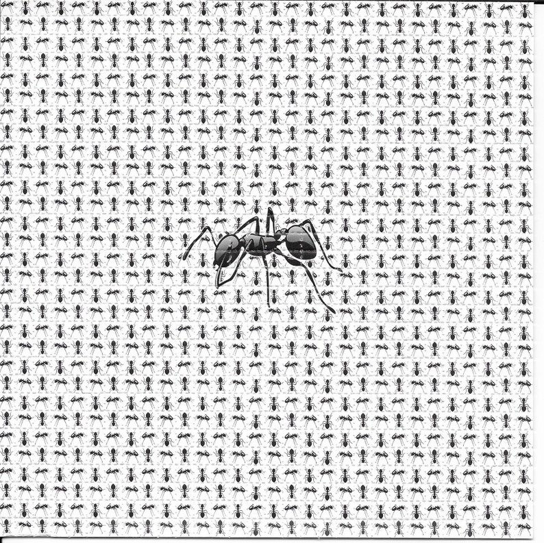 Ants Animal Psychedelic LSD Ac - огляд і ціна Ink Blotter Paper